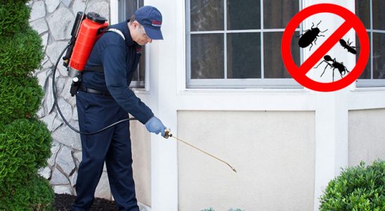 Çorum Kemirgen İlaçlama böcek ilaçlama ve haşere kontrolü — ilaclama-tr.com